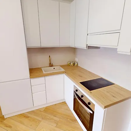 Daire Agreable 2p Renove Au Centre Avec Terrasse - Fr-1-196-387 Menton